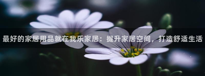ug环球正网买分