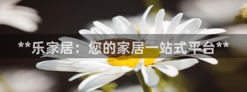 ug环球代理合作