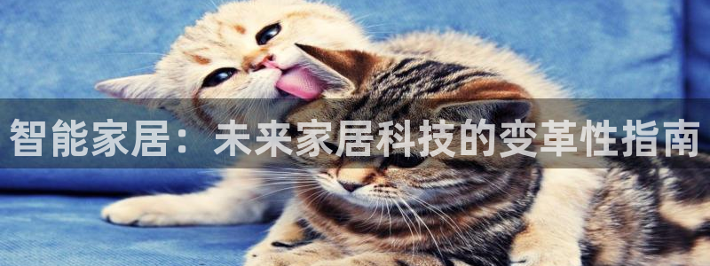 ug环球代理平台