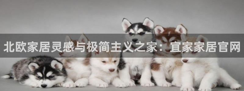 ug环球包杀网一比一
