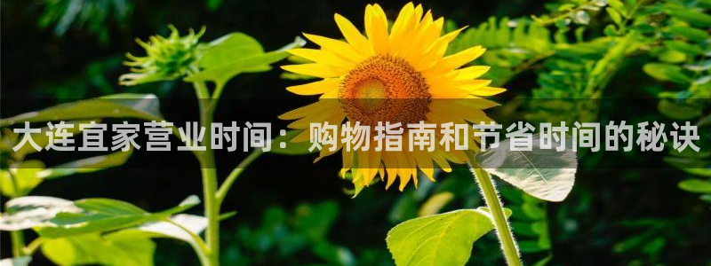 ug环球会员登录