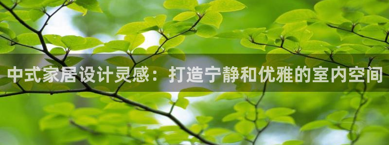 ug环球官网注册