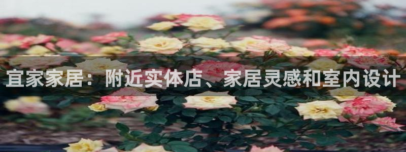 ug环球会员开户