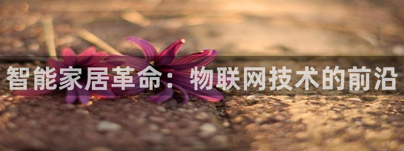ug环球app下载
