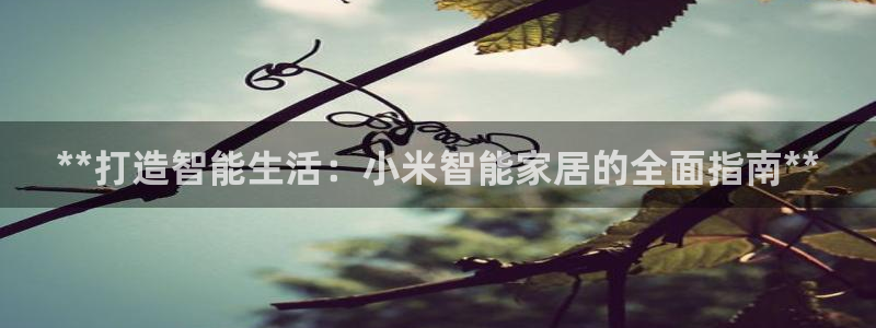 ug环球会员开户
