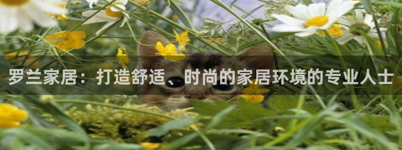 ug环球代理开户