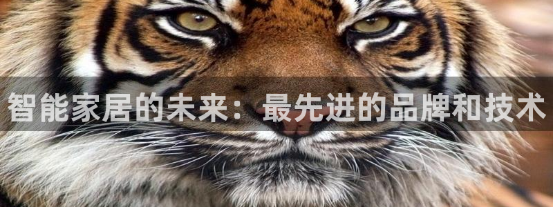 UG环球假网一比一包杀网