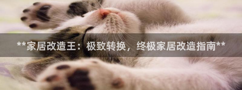 Ug环球网网址