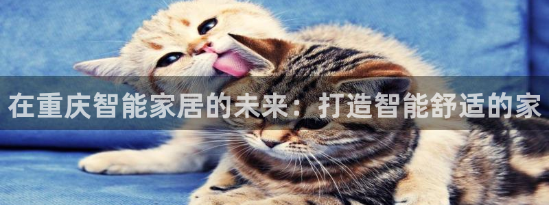 ug环球代理