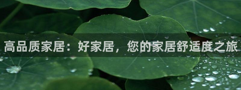 ug环球视讯手机版官网