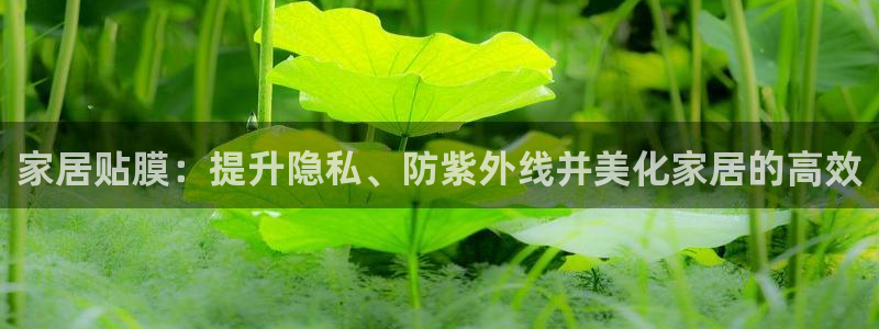 ug环球视讯真假