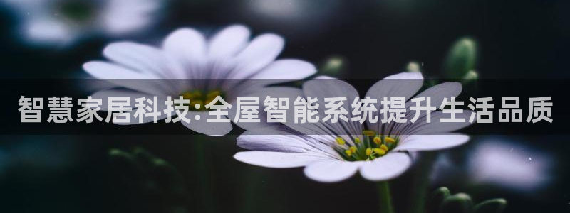 UG环球假网一比一包杀网