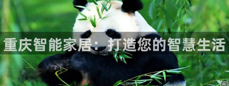 ug环球网站
