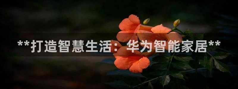 UG环球视讯