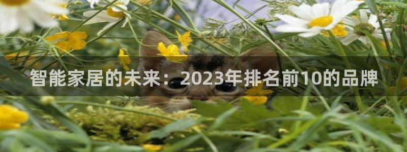 ug环球官网在线