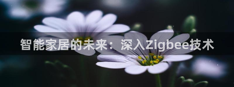 ug环球正网买分