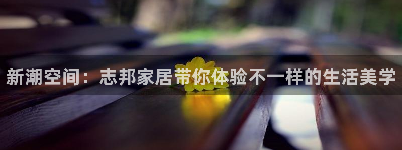 ug环球游戏网站官网