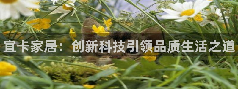 ug环球开户