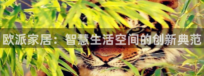 UG环球视讯