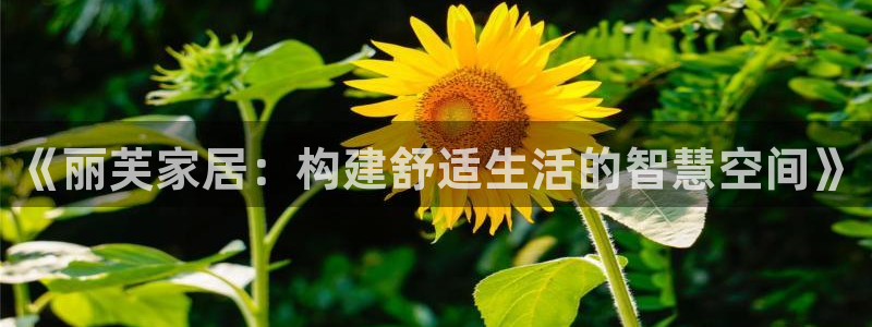 UG环球假网一比一包杀网