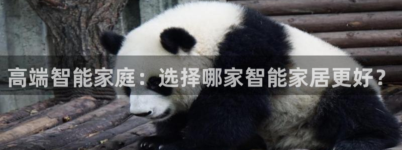 ug环球app下载
