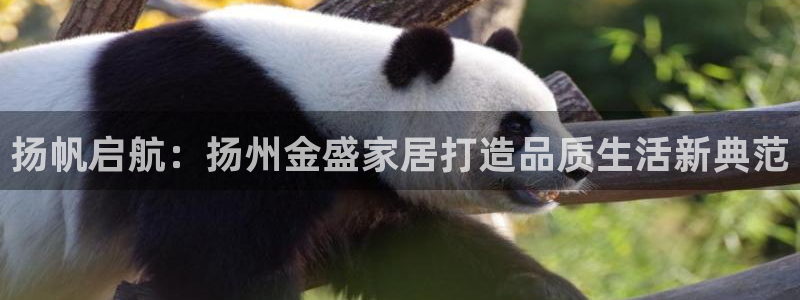 UG环球国际在线