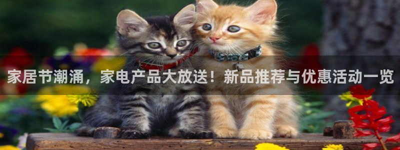ug环球视讯充值