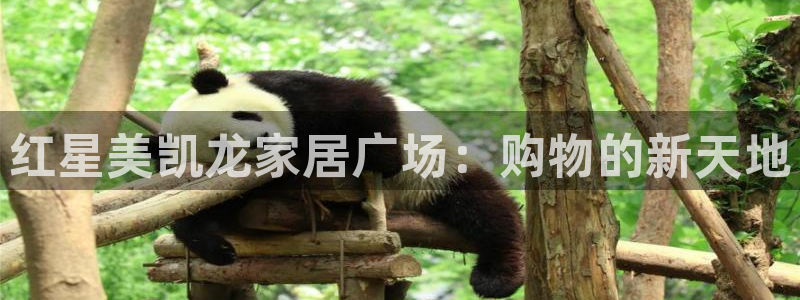 ug环球360官网