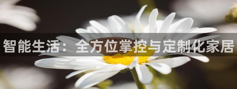 ug环球官网会员