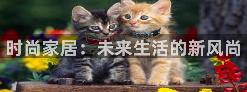 ug环球正网买分