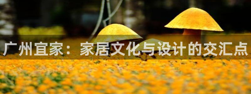 ug环球国际
