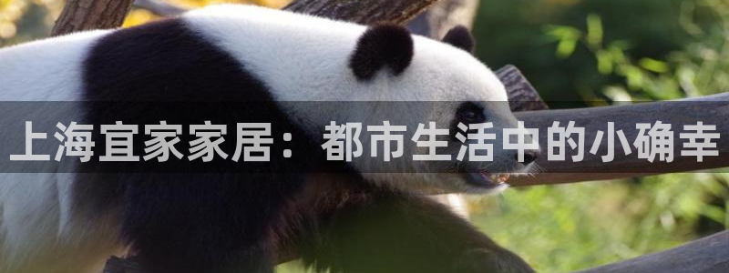 ug环球游戏网站官网