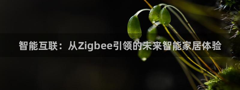 环球ug