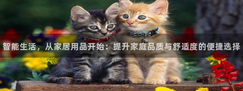 ug环球买代理