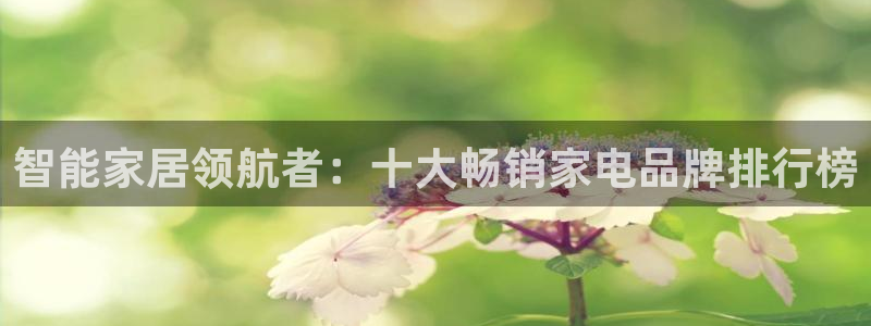 ug环球代理平台