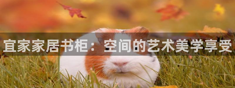 ug环球买代理