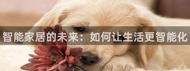 ug环球正网开户