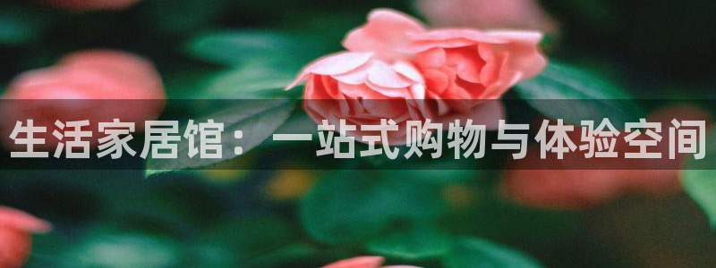 ug环球代理合作