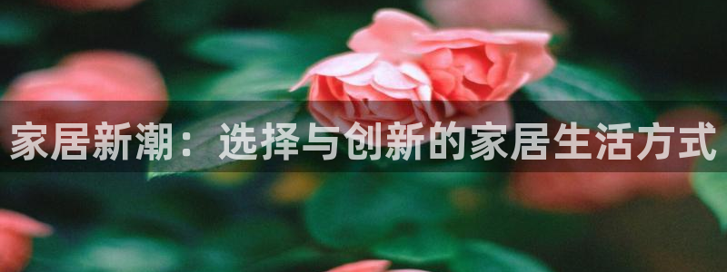ug环球代理