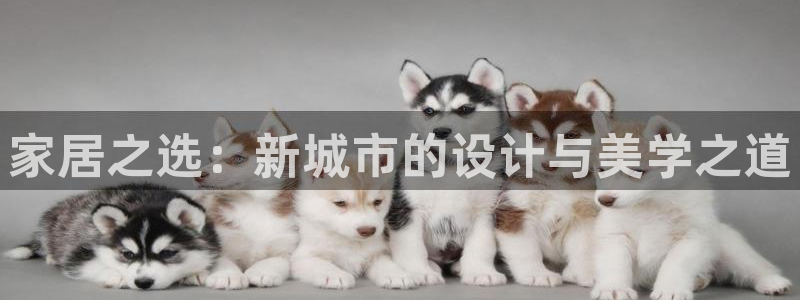 ug环球国际360