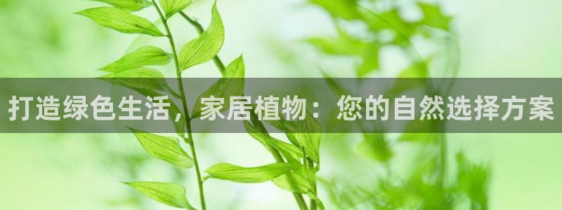 ug环球360