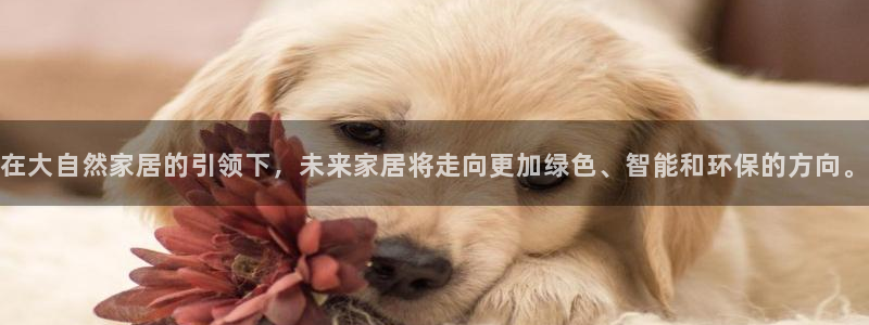 ug环球视讯官网网址