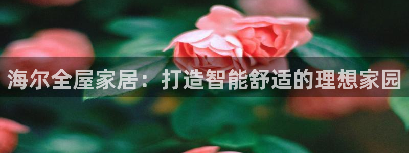 ug环球官网会员