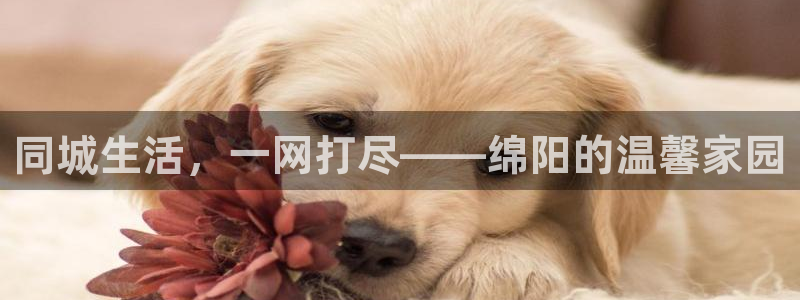 UG环球1比一：同城生活，一网打尽——绵