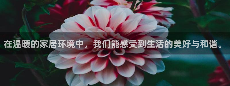 ug环球视讯真假