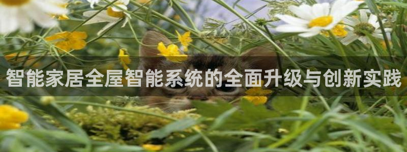 ug环球官网24小时