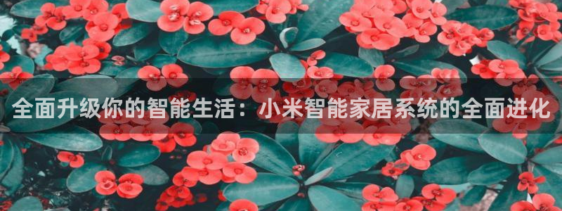 ug环球代理