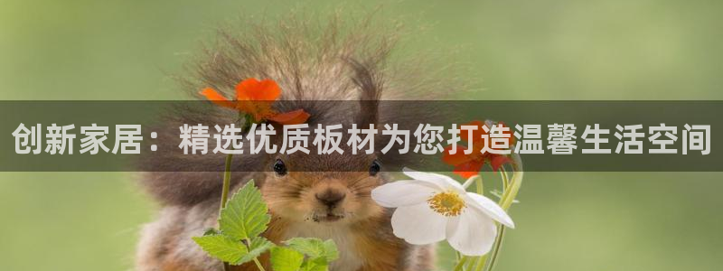 ug环球假网一比一