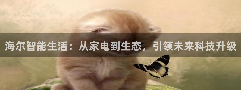 ug环球注册登录