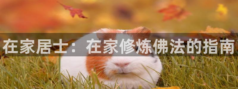 UG环球假网合作